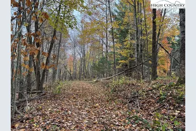 Tbd Rominger Road, Banner Elk, NC 28604 - Photo 7