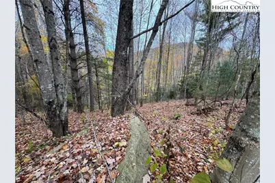 Tbd Rominger Road, Banner Elk, NC 28604 - Photo 13