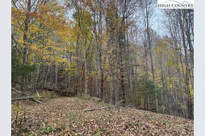 Tbd Rominger Road, Banner Elk, NC 28604 - Photo 9