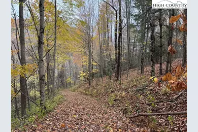 Tbd Rominger Road, Banner Elk, NC 28604 - Photo 3