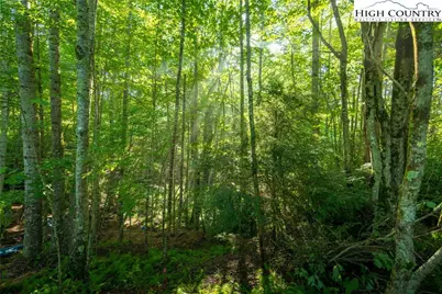 252 Boulder Creek Drive, Boone, NC 28607 - Photo 27