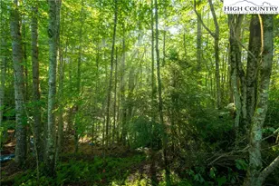 252 Boulder Creek Dr, Boone, NC 28607 - Photo 27