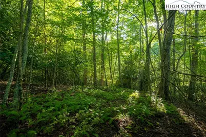 252 Boulder Creek Drive, Boone, NC 28607 - Photo 13