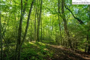 Tbd Boulder Creek Dr, Boone, NC 28607 - Photo 13