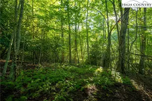 Tbd Boulder Creek Dr, Boone, NC 28607 - Photo 5