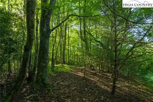 Tbd Boulder Creek Dr, Boone, NC 28607 - Photo 15