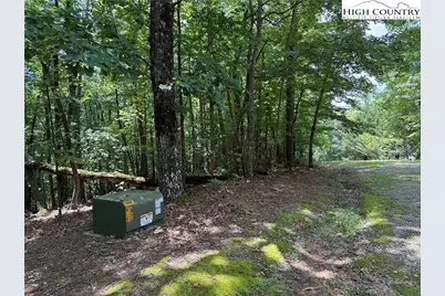 Lot 139 Pine Burr Drive, Purlear, NC 28665 - Photo 3