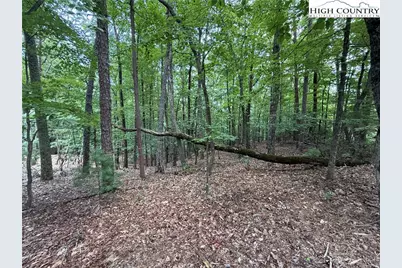 Lot 139 Pine Burr Drive, Purlear, NC 28665 - Photo 9