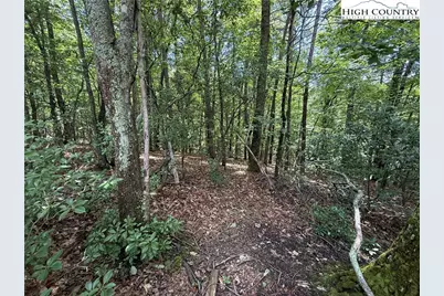 Lot 139 Pine Burr Drive, Purlear, NC 28665 - Photo 7