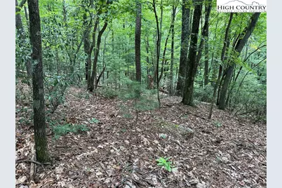 Lot 139 Pine Burr Drive, Purlear, NC 28665 - Photo 7