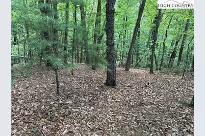 Lot 139 Pine Burr Drive, Purlear, NC 28665 - Photo 5