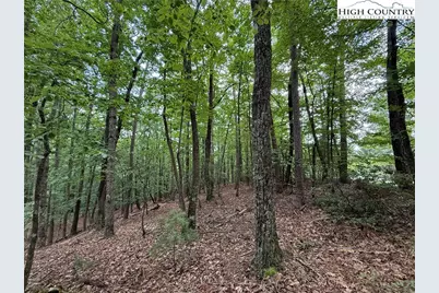 Lot 139 Pine Burr Drive, Purlear, NC 28665 - Photo 11
