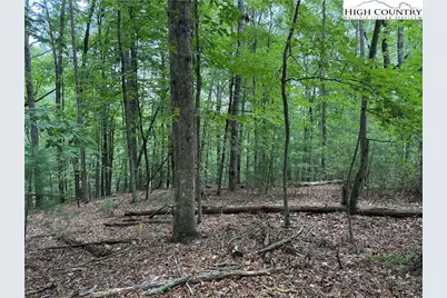 Lot 139 Pine Burr Drive, Purlear, NC 28665 - Photo 3