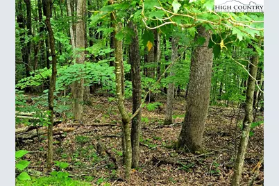 Tbd Red Fox Ridge, Boone, NC 28607 - Photo 1