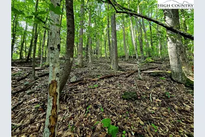 Tbd Red Fox Ridge, Boone, NC 28607 - Photo 13