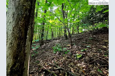 Tbd Red Fox Ridge, Boone, NC 28607 - Photo 7