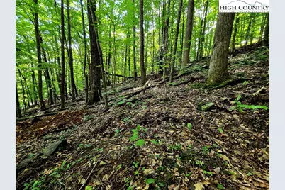 Tbd Red Fox Ridge, Boone, NC 28607 - Photo 9