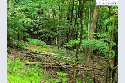 Tbd Red Fox Ridge, Boone, NC 28607 - Photo 3