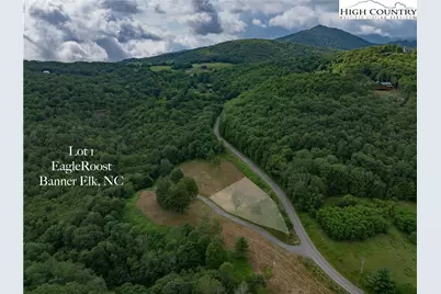 Lot 1 Roost Lane, Banner Elk, NC 28604 - Photo 9