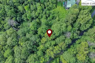 Lot 53 Dream Mountain Rd, Grassy Creek, NC 28631 - Photo 1