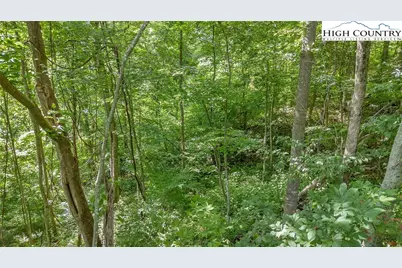 Lot 53 Dream Mountain Road, Grassy Creek, NC 28631 - Photo 5