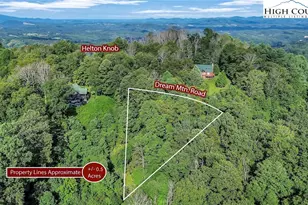 Lot 53 Dream Mountain Rd, Grassy Creek, NC 28631 - Photo 1