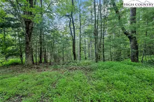 Lot 73 Buckland Rd, Grassy Creek, NC 28631 - Photo 1