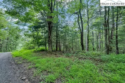 Lot 73 Buckland Road, Grassy Creek, NC 28631 - Photo 1