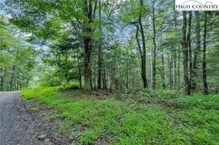 Lot 73 Buckland Rd, Grassy Creek, NC 28631 - Photo 1