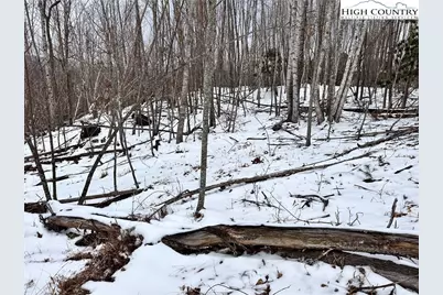 0000 Lot 78 Black Bear Crossing, Elk Park, NC 28622 - Photo 3