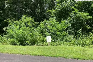 Tbd Lot #9 Granite Creek Dr, Jefferson, NC 28640 - Photo 1