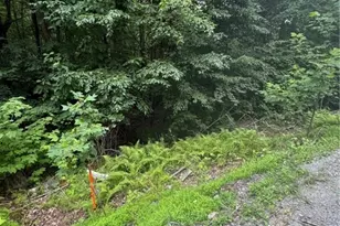 327 Locust Ridge, Beech Mountain, NC 28604 - Photo 1