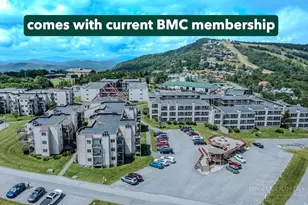 301 Pinnacle Inn Rd, Beech Mountain, NC 28604 - Photo 1