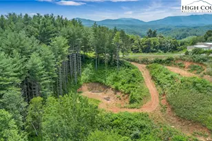 321 Laurel Highlands Dr, Grassy Creek, NC 28631 - Photo 13