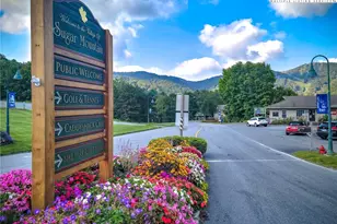 303 Sugar Top Dr, Sugar Mountain, NC 28604 - Photo 39