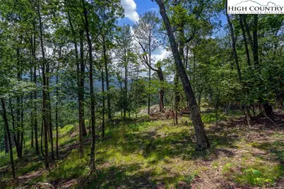 Lot 15 Alpine Drive, Seven Devils, NC 28604 - Photo 11