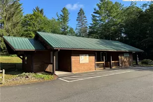 203 Black Pine Rd, Linville, NC 28657 - Photo 21