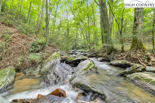 949 Coy Ham Rd, Lansing, NC 28643 - Photo 3