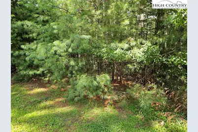Tbd Holly Run, Glade Valley, NC 28627 - Photo 3
