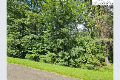 Tbd Holly Run, Glade Valley, NC 28627 - Photo 5