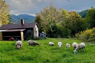 261 Tumbling Brk Dr, Banner Elk, NC 28604 - Photo 3