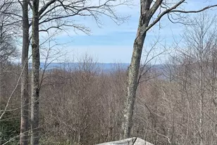 710 Pine Ridge Rd, Beech Mountain, NC 28604 - Photo 43