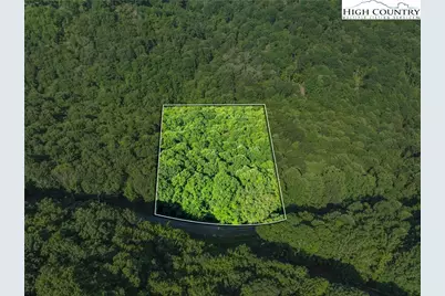 303 Locust Ridge Road, Beech Mountain, NC 28604 - Photo 1