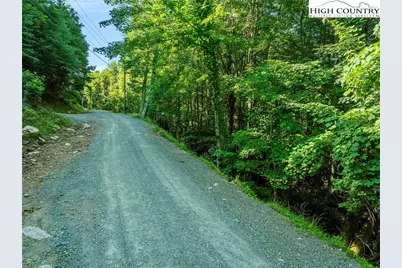 303 Locust Ridge Road, Beech Mountain, NC 28604 - Photo 3