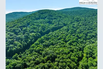 303 Locust Ridge Road, Beech Mountain, NC 28604 - Photo 15