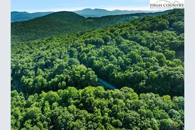 303 Locust Ridge Road, Beech Mountain, NC 28604 - Photo 23