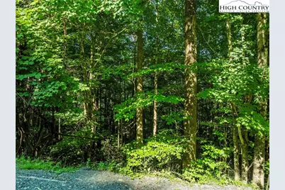 303 Locust Ridge Road, Beech Mountain, NC 28604 - Photo 5