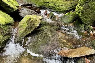 Lot 39 Mossy Creek Ct, Boone, NC 28607 - Photo 23