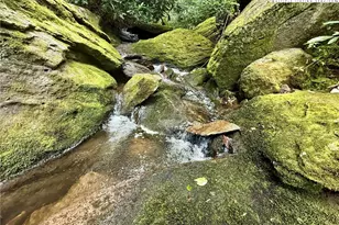 Lot 39 Mossy Creek Ct, Boone, NC 28607 - Photo 13