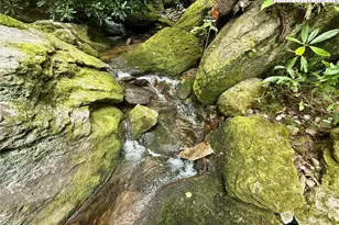 Lot 39 Mossy Creek Ct, Boone, NC 28607 - Photo 21